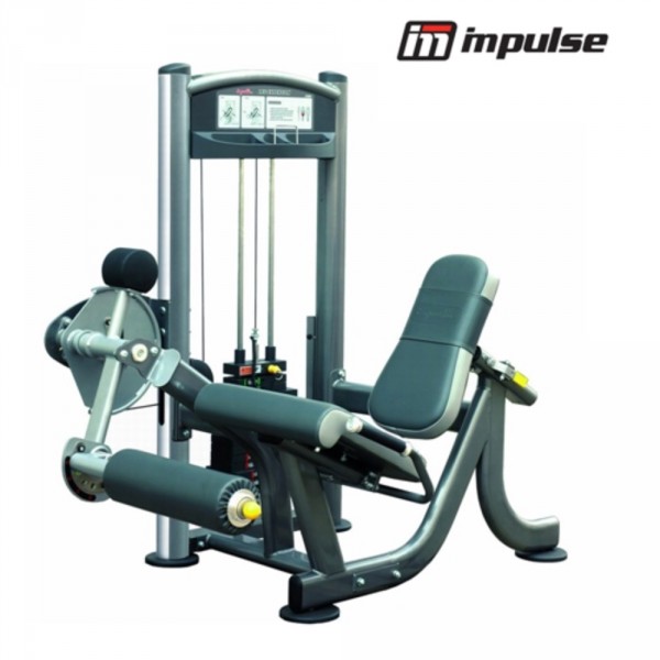 IT9305 Beinstrecker - Leg extension 91 kg - inkl. Aufbau